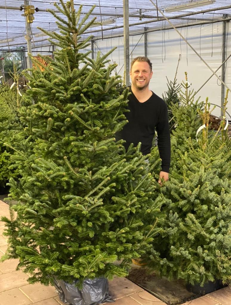 Verouderd binden Idool Kerstbomen kopen in Best - Vanaf eind november beschikbaar!