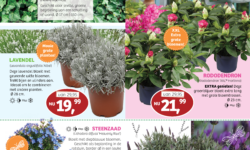 Aanbieding Lente: lekker weer naar buiten